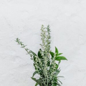 Marjoram